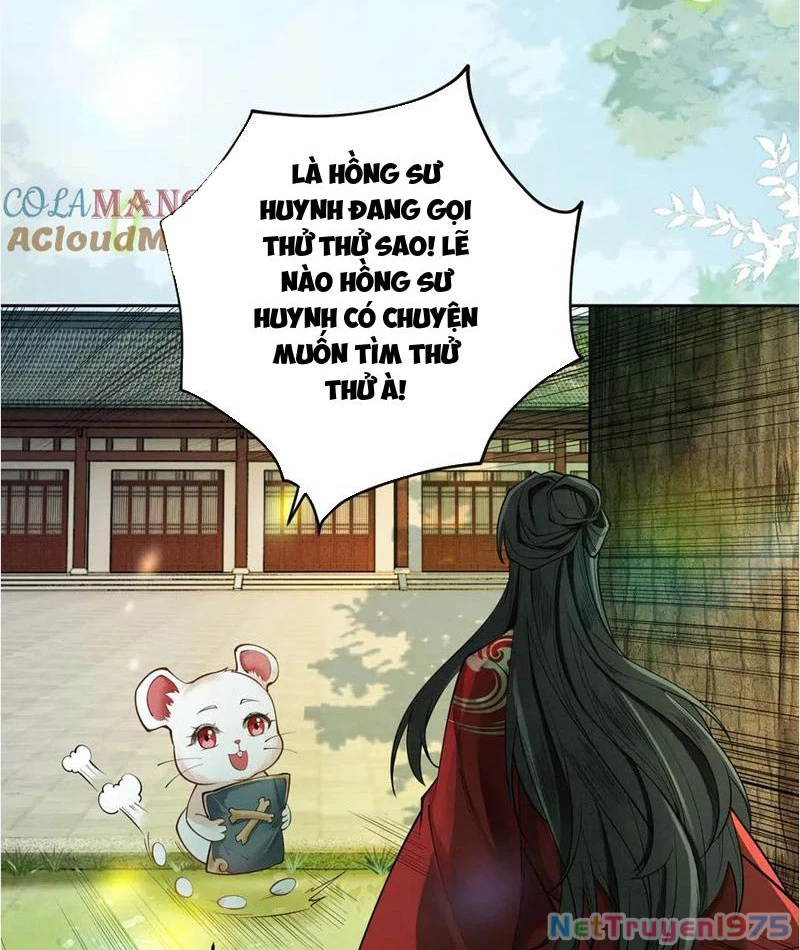 Gặp Mạnh Thì Mạnh, Ta Tu Vi Vô Thượng Hạn Chapter 38 - Trang 2