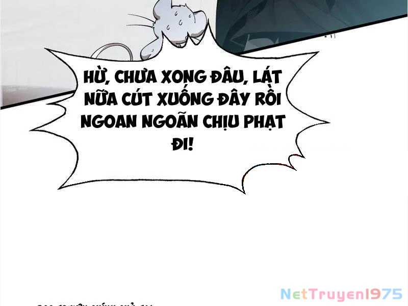 Gặp Mạnh Thì Mạnh, Ta Tu Vi Vô Thượng Hạn Chapter 39 - Trang 2