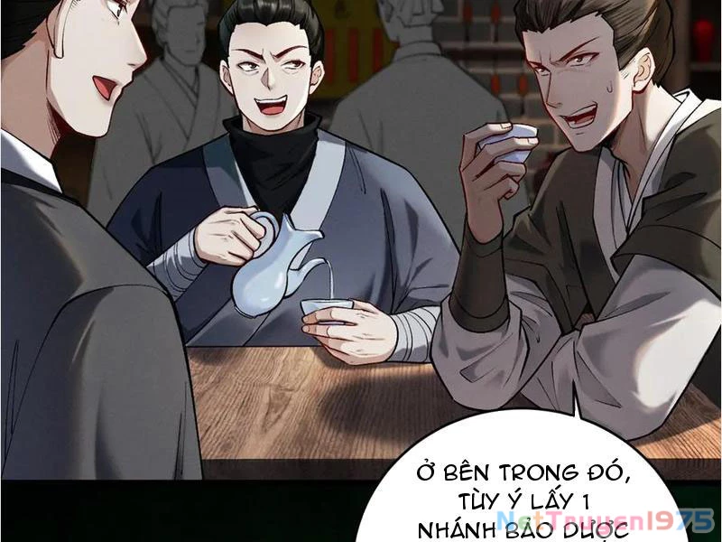 Gặp Mạnh Thì Mạnh, Ta Tu Vi Vô Thượng Hạn Chapter 39 - Trang 2