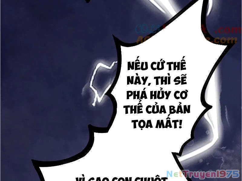 Gặp Mạnh Thì Mạnh, Ta Tu Vi Vô Thượng Hạn Chapter 39 - Trang 2