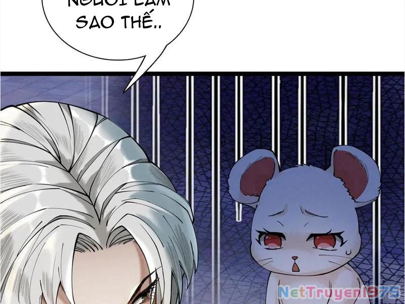 Gặp Mạnh Thì Mạnh, Ta Tu Vi Vô Thượng Hạn Chapter 39 - Trang 2