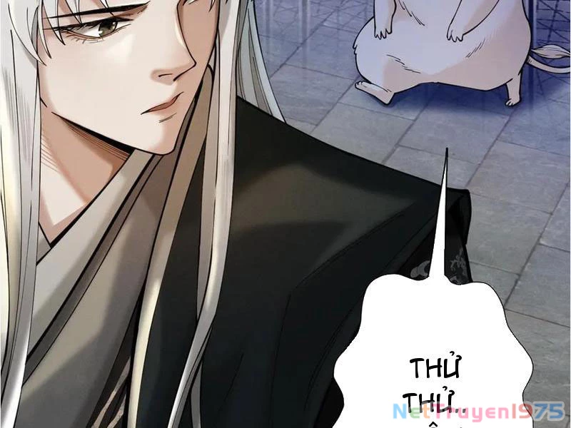 Gặp Mạnh Thì Mạnh, Ta Tu Vi Vô Thượng Hạn Chapter 39 - Trang 2