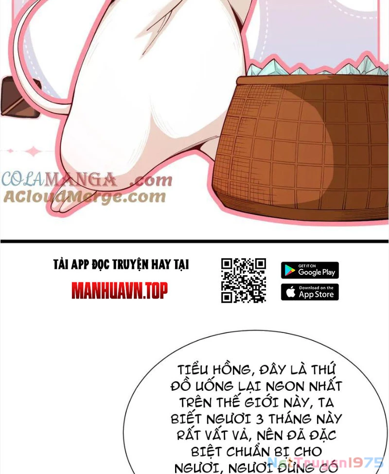 Gặp Mạnh Thì Mạnh, Ta Tu Vi Vô Thượng Hạn Chapter 40 - Trang 2