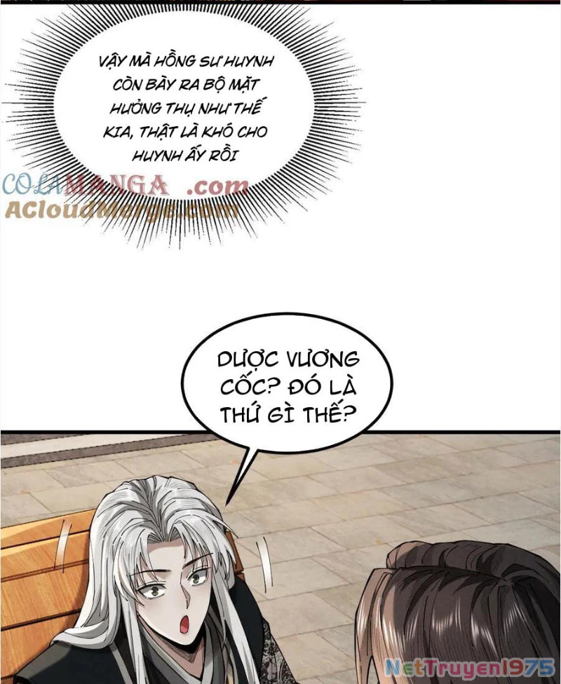 Gặp Mạnh Thì Mạnh, Ta Tu Vi Vô Thượng Hạn Chapter 40 - Trang 2