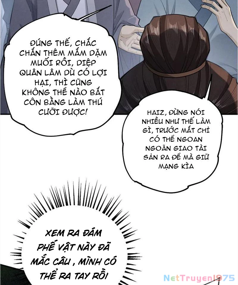 Gặp Mạnh Thì Mạnh, Ta Tu Vi Vô Thượng Hạn Chapter 40 - Trang 2