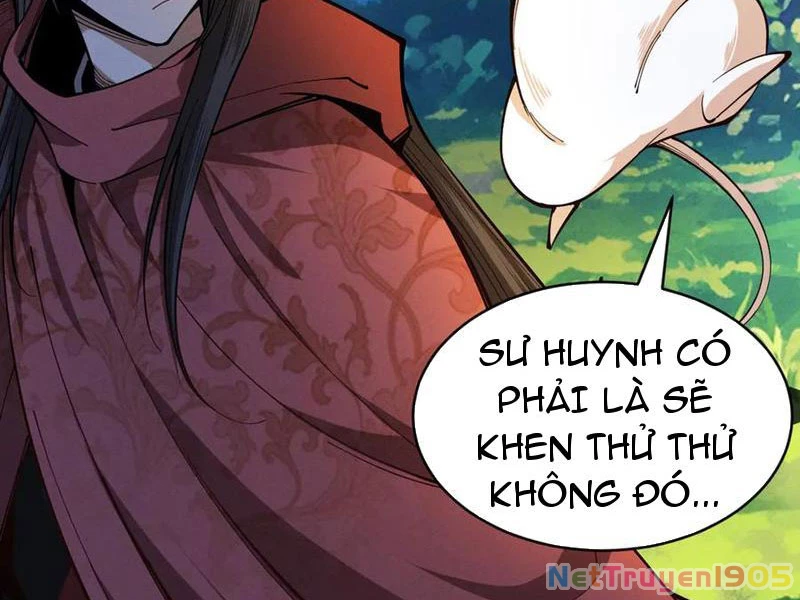 Gặp Mạnh Thì Mạnh, Ta Tu Vi Vô Thượng Hạn Chapter 46 - Trang 2