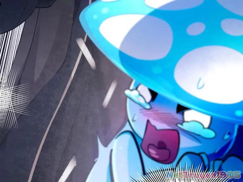 Gặp Mạnh Thì Mạnh, Ta Tu Vi Vô Thượng Hạn Chapter 50 - Trang 2