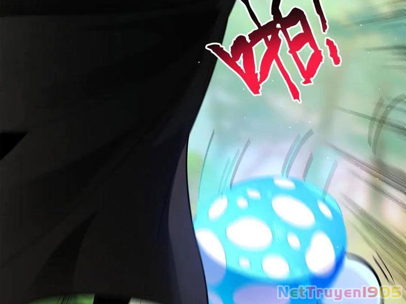 Gặp Mạnh Thì Mạnh, Ta Tu Vi Vô Thượng Hạn Chapter 50 - Trang 2