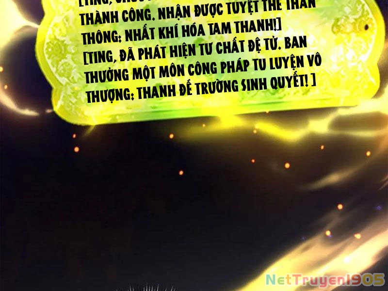 Gặp Mạnh Thì Mạnh, Ta Tu Vi Vô Thượng Hạn Chapter 50 - Trang 2