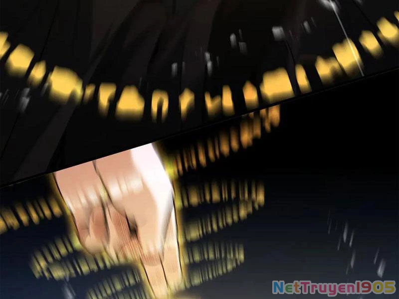 Gặp Mạnh Thì Mạnh, Ta Tu Vi Vô Thượng Hạn Chapter 50 - Trang 2