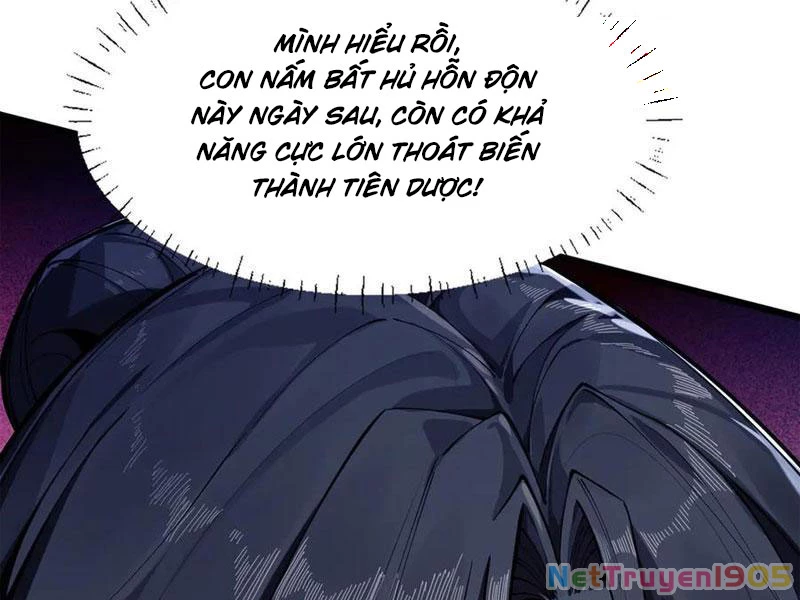 Gặp Mạnh Thì Mạnh, Ta Tu Vi Vô Thượng Hạn Chapter 50 - Trang 2