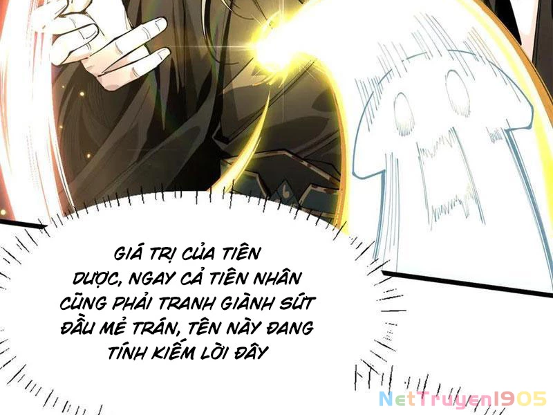 Gặp Mạnh Thì Mạnh, Ta Tu Vi Vô Thượng Hạn Chapter 50 - Trang 2
