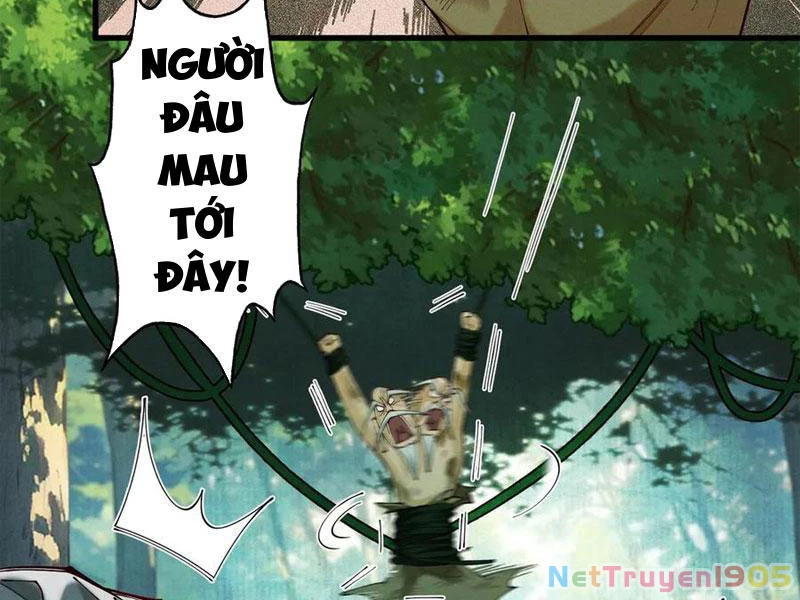 Gặp Mạnh Thì Mạnh, Ta Tu Vi Vô Thượng Hạn Chapter 50 - Trang 2