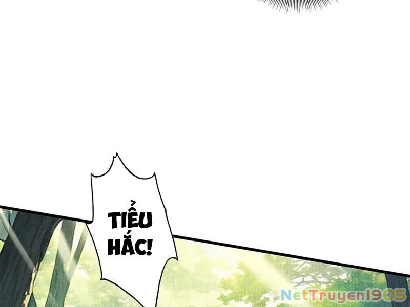 Gặp Mạnh Thì Mạnh, Ta Tu Vi Vô Thượng Hạn Chapter 50 - Trang 2