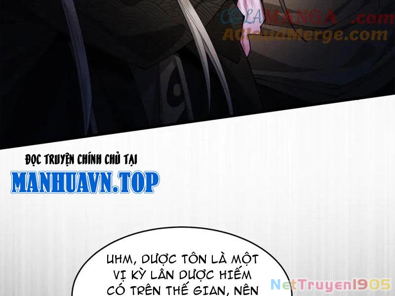 Gặp Mạnh Thì Mạnh, Ta Tu Vi Vô Thượng Hạn Chapter 50 - Trang 2