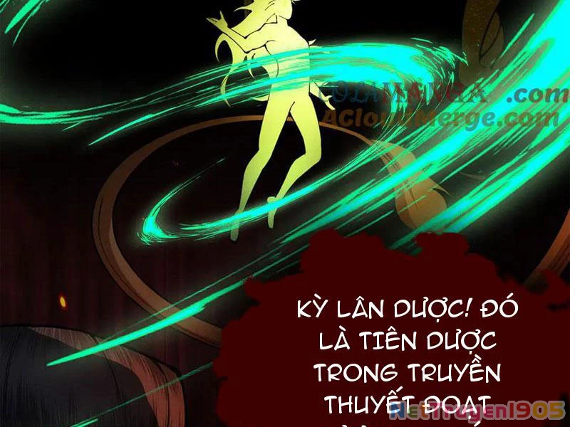 Gặp Mạnh Thì Mạnh, Ta Tu Vi Vô Thượng Hạn Chapter 50 - Trang 2