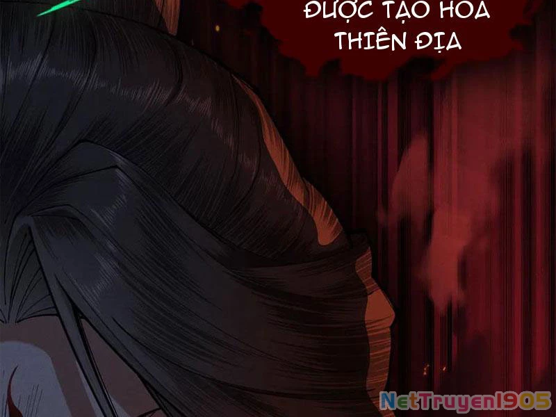 Gặp Mạnh Thì Mạnh, Ta Tu Vi Vô Thượng Hạn Chapter 50 - Trang 2