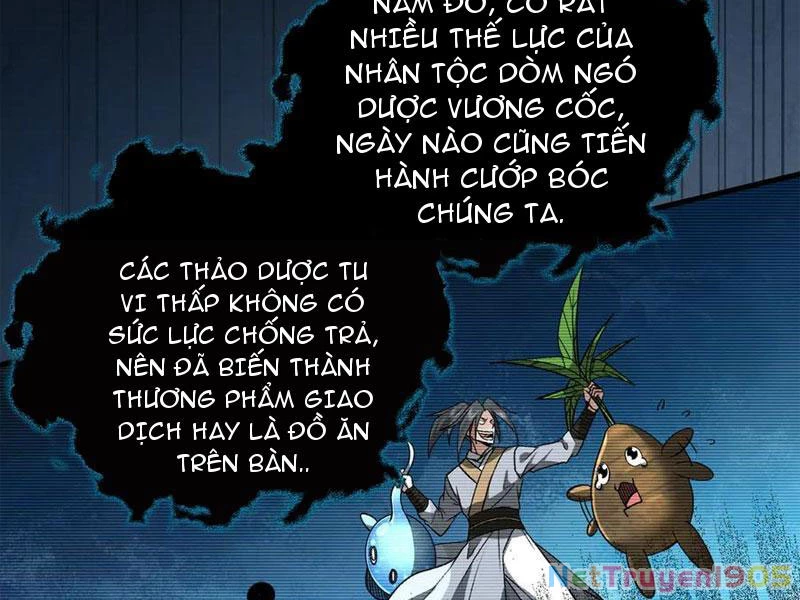 Gặp Mạnh Thì Mạnh, Ta Tu Vi Vô Thượng Hạn Chapter 50 - Trang 2