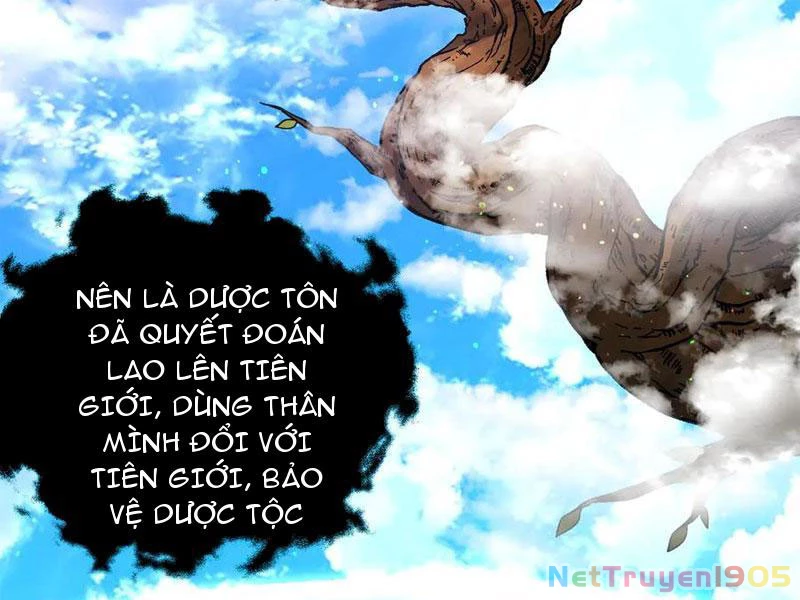 Gặp Mạnh Thì Mạnh, Ta Tu Vi Vô Thượng Hạn Chapter 50 - Trang 2