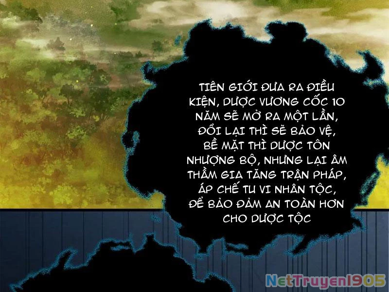 Gặp Mạnh Thì Mạnh, Ta Tu Vi Vô Thượng Hạn Chapter 50 - Trang 2