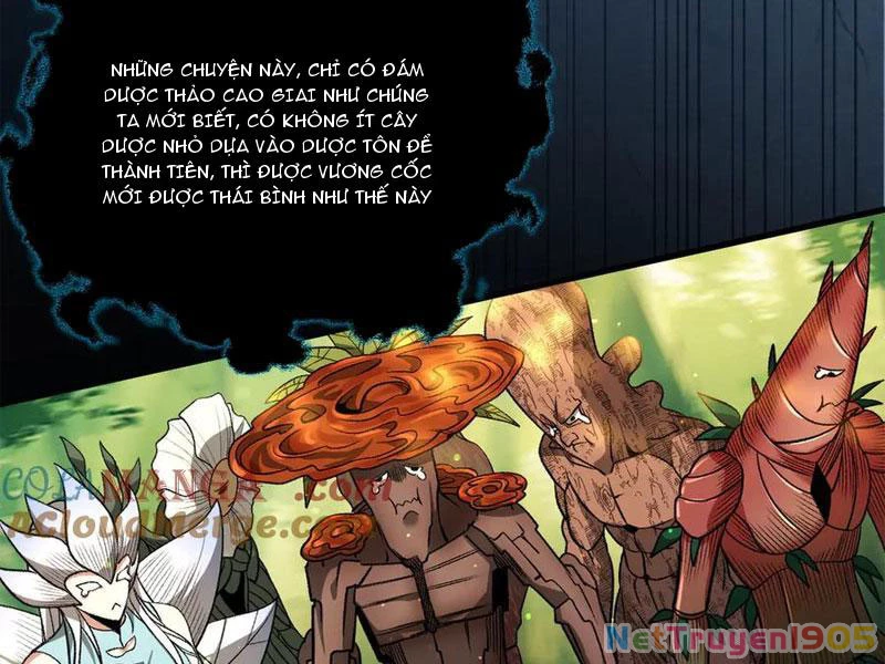 Gặp Mạnh Thì Mạnh, Ta Tu Vi Vô Thượng Hạn Chapter 50 - Trang 2