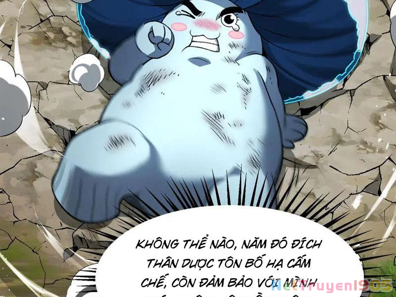 Gặp Mạnh Thì Mạnh, Ta Tu Vi Vô Thượng Hạn Chapter 50 - Trang 2