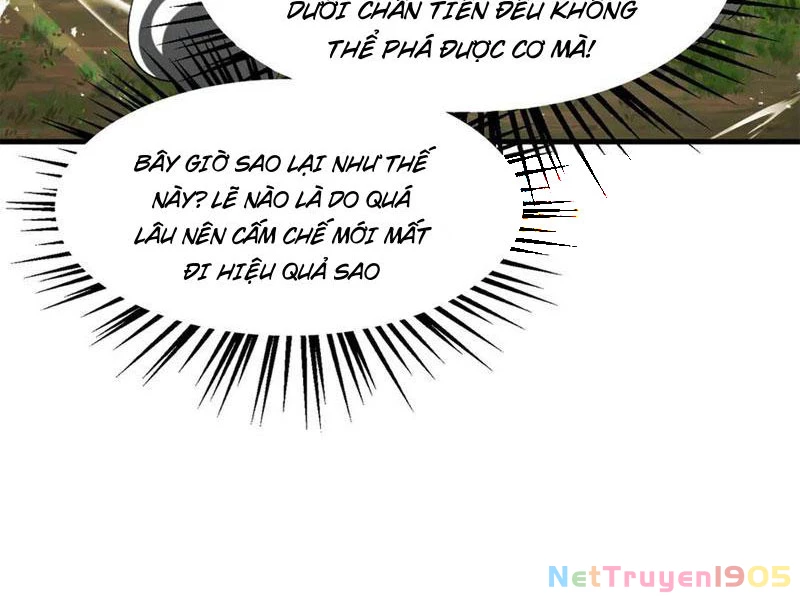 Gặp Mạnh Thì Mạnh, Ta Tu Vi Vô Thượng Hạn Chapter 50 - Trang 2