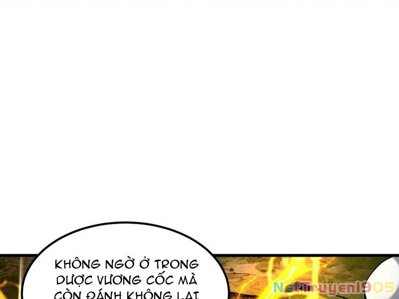 Gặp Mạnh Thì Mạnh, Ta Tu Vi Vô Thượng Hạn Chapter 50 - Trang 2