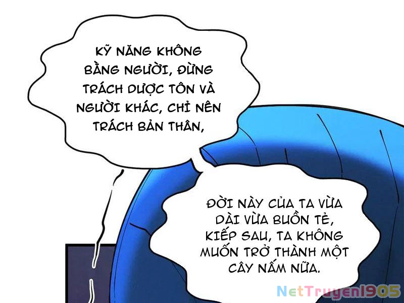 Gặp Mạnh Thì Mạnh, Ta Tu Vi Vô Thượng Hạn Chapter 50 - Trang 2