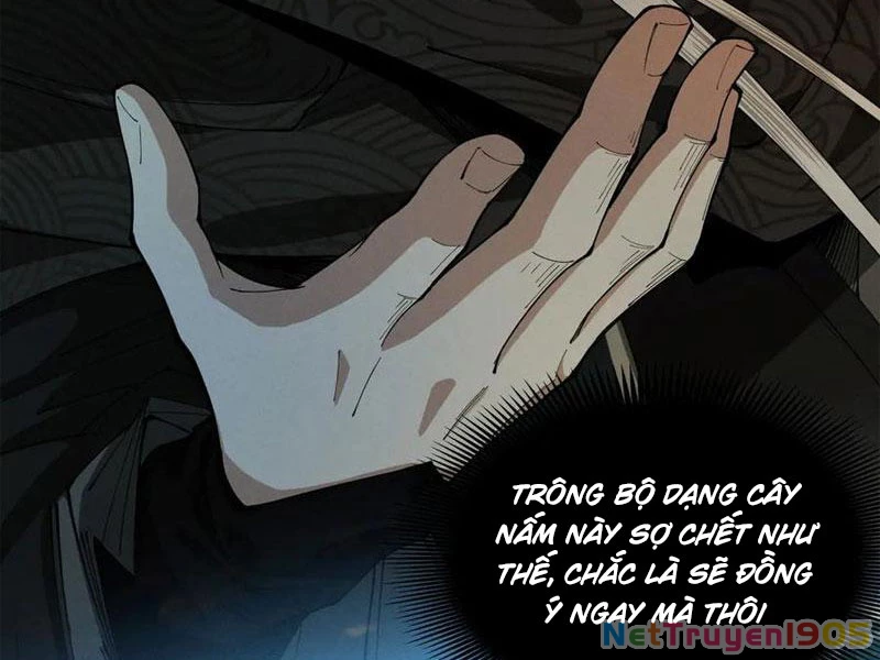 Gặp Mạnh Thì Mạnh, Ta Tu Vi Vô Thượng Hạn Chapter 50 - Trang 2