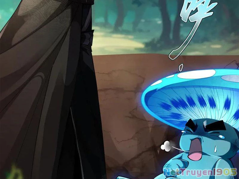 Gặp Mạnh Thì Mạnh, Ta Tu Vi Vô Thượng Hạn Chapter 50 - Trang 2