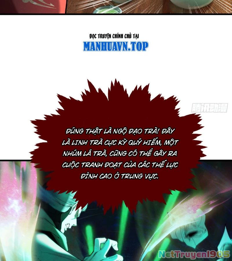 Gặp Mạnh Thì Mạnh, Ta Tu Vi Vô Thượng Hạn Chapter 53 - Trang 2