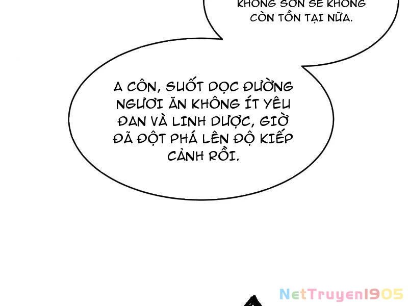 Gặp Mạnh Thì Mạnh, Ta Tu Vi Vô Thượng Hạn Chapter 55 - Trang 2
