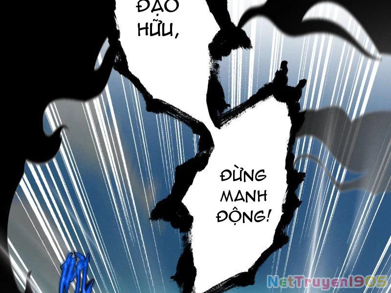 Gặp Mạnh Thì Mạnh, Ta Tu Vi Vô Thượng Hạn Chapter 55 - Trang 2