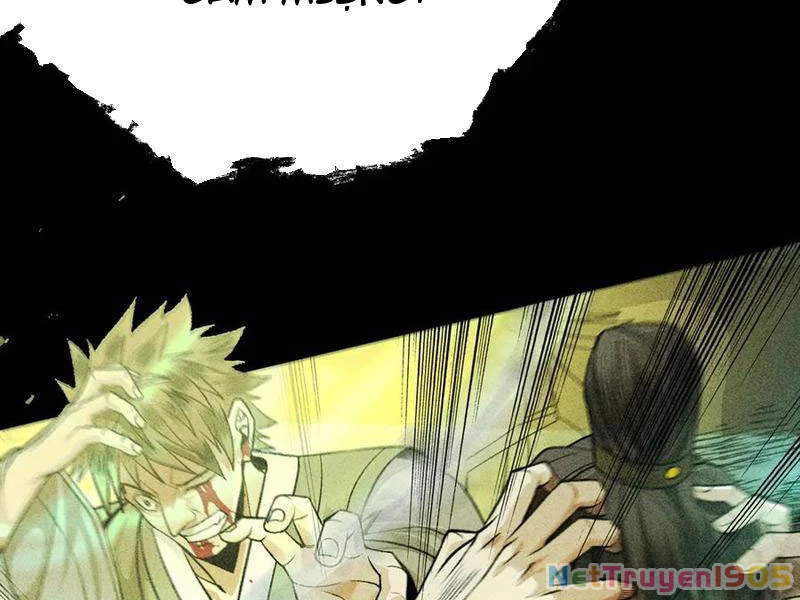 Gặp Mạnh Thì Mạnh, Ta Tu Vi Vô Thượng Hạn Chapter 57 - Trang 2