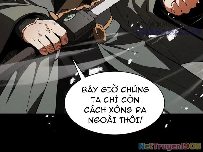Gặp Mạnh Thì Mạnh, Ta Tu Vi Vô Thượng Hạn Chapter 57 - Trang 2