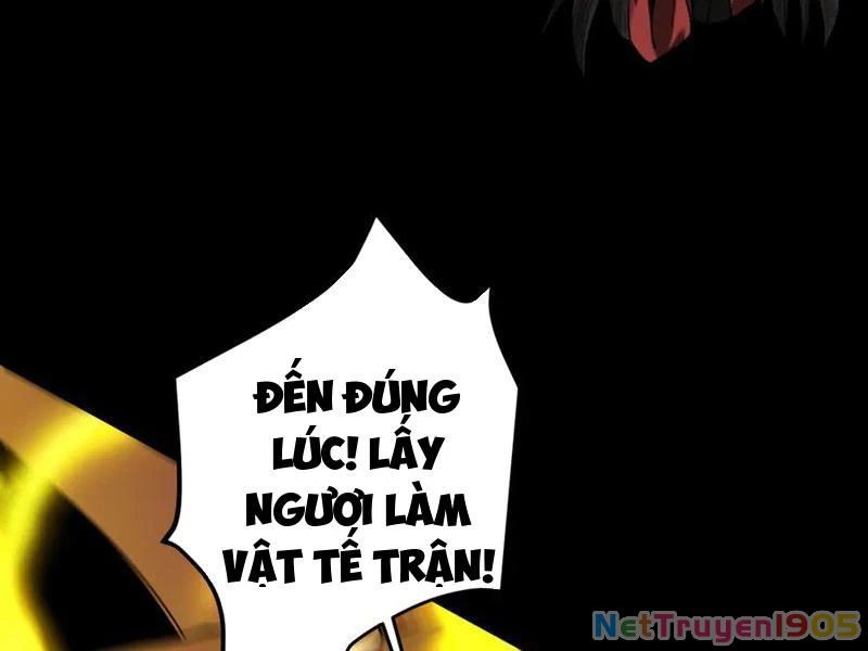 Gặp Mạnh Thì Mạnh, Ta Tu Vi Vô Thượng Hạn Chapter 57 - Trang 2