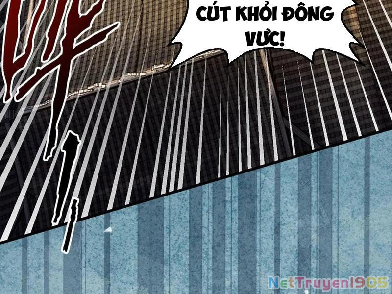Gặp Mạnh Thì Mạnh, Ta Tu Vi Vô Thượng Hạn Chapter 57 - Trang 2