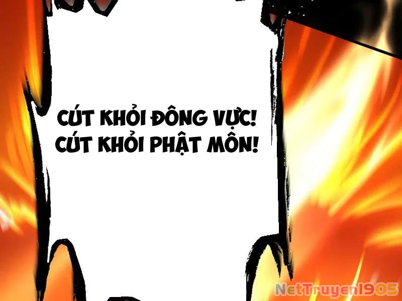 Gặp Mạnh Thì Mạnh, Ta Tu Vi Vô Thượng Hạn Chapter 57 - Trang 2