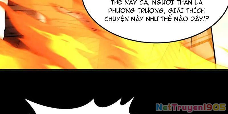 Gặp Mạnh Thì Mạnh, Ta Tu Vi Vô Thượng Hạn Chapter 58 - Trang 2