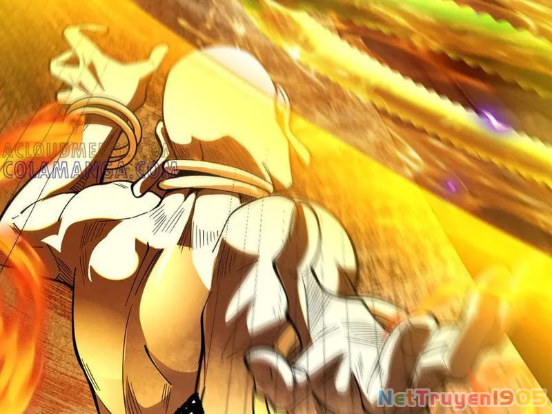Gặp Mạnh Thì Mạnh, Ta Tu Vi Vô Thượng Hạn Chapter 58 - Trang 2