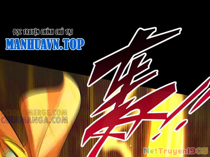 Gặp Mạnh Thì Mạnh, Ta Tu Vi Vô Thượng Hạn Chapter 58 - Trang 2