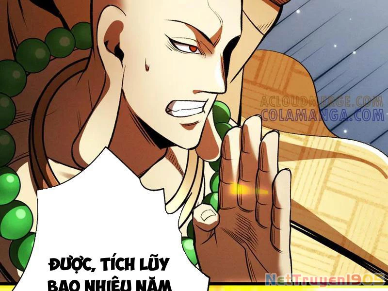 Gặp Mạnh Thì Mạnh, Ta Tu Vi Vô Thượng Hạn Chapter 58 - Trang 2