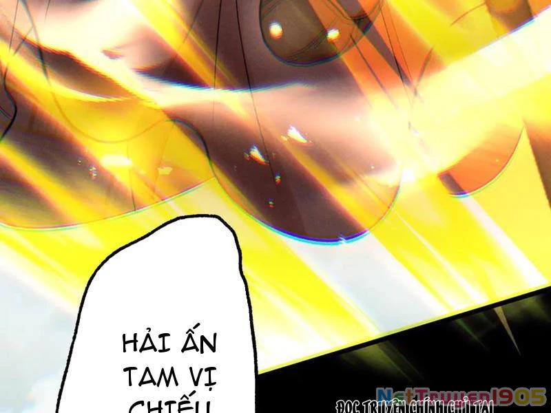 Gặp Mạnh Thì Mạnh, Ta Tu Vi Vô Thượng Hạn Chapter 58 - Trang 2
