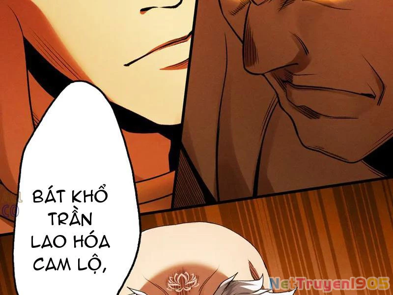 Gặp Mạnh Thì Mạnh, Ta Tu Vi Vô Thượng Hạn Chapter 58 - Trang 2