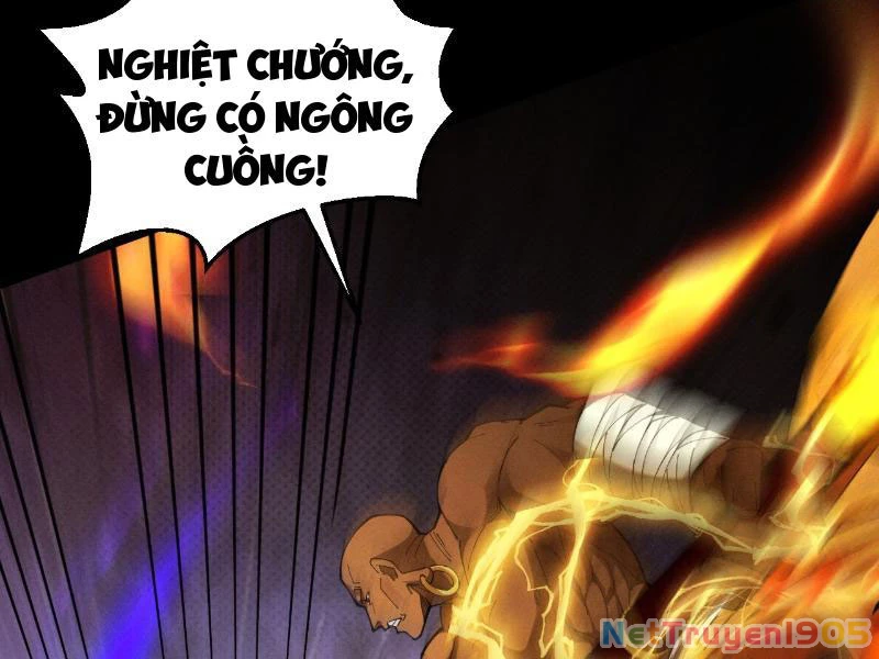 Gặp Mạnh Thì Mạnh, Ta Tu Vi Vô Thượng Hạn Chapter 59 - Trang 2