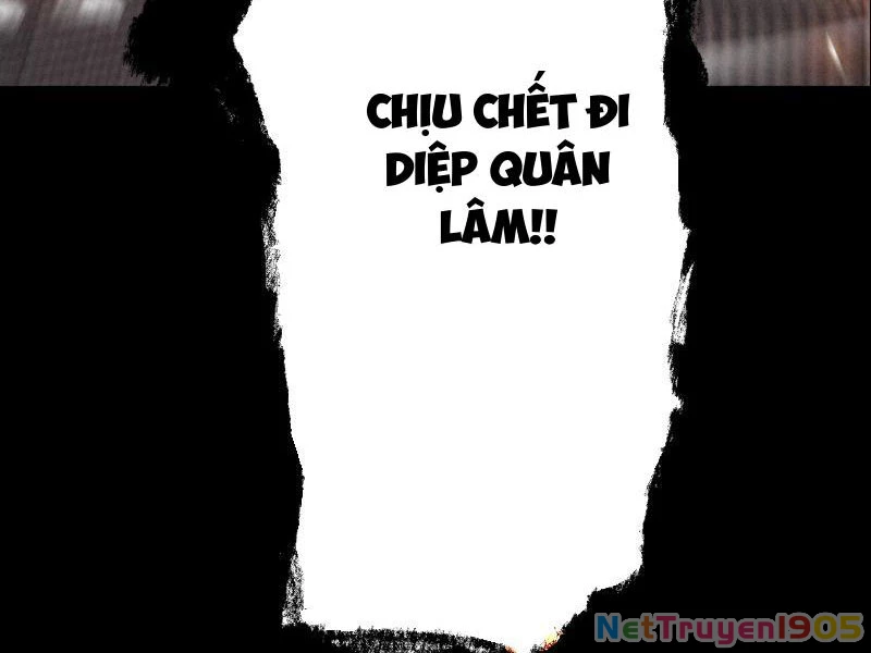 Gặp Mạnh Thì Mạnh, Ta Tu Vi Vô Thượng Hạn Chapter 59 - Trang 2