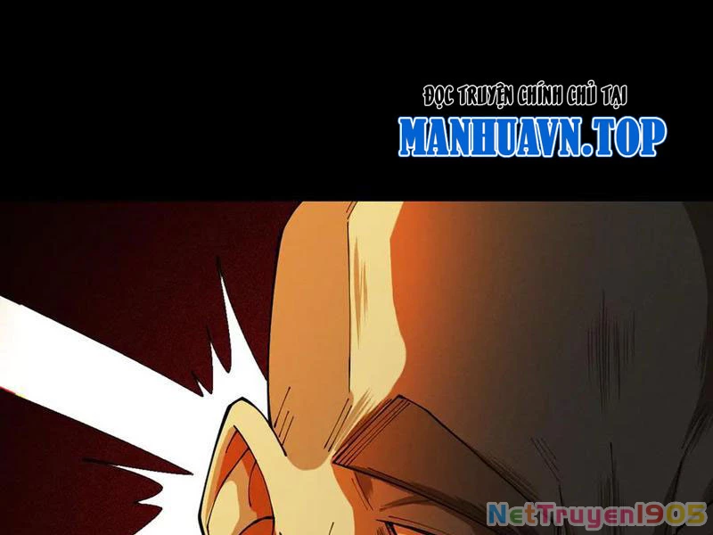 Gặp Mạnh Thì Mạnh, Ta Tu Vi Vô Thượng Hạn Chapter 60 - Trang 2