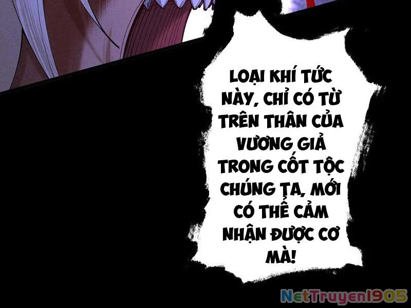 Gặp Mạnh Thì Mạnh, Ta Tu Vi Vô Thượng Hạn Chapter 62 - Trang 2