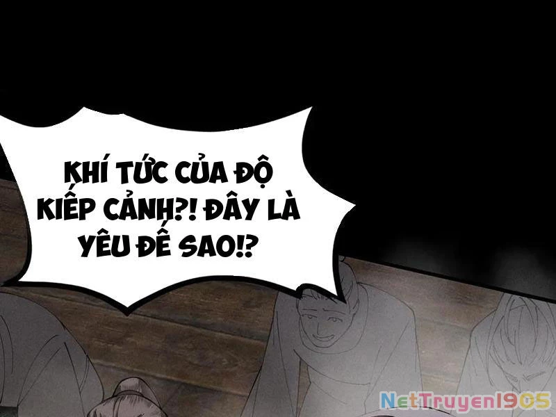 Gặp Mạnh Thì Mạnh, Ta Tu Vi Vô Thượng Hạn Chapter 62 - Trang 2